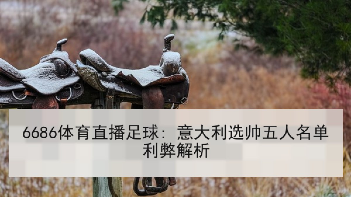6686体育直播足球: 意大利选帅五人名单利弊解析 6686体育直播足球: 意大利选帅五人名单利弊解析