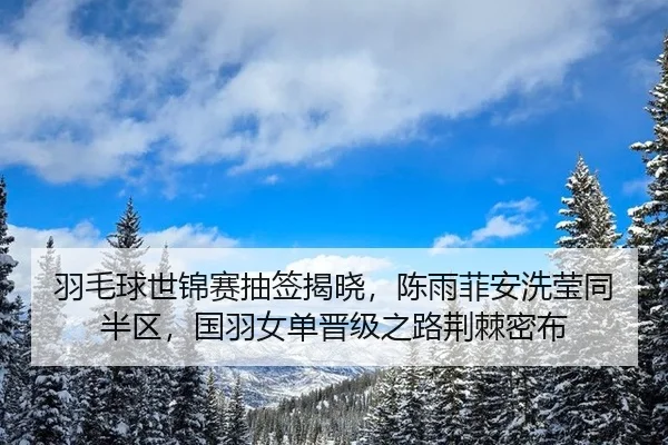yu-mao-qiu-shi-jin-sai-chou-qian-jie-xiao-chen-yu-fei-an-xi-ying-tong-ban-qu-guo-yu-nv-dan-jin-ji-zhi-lu-jing-ji-mi-bu-2-556.jpg