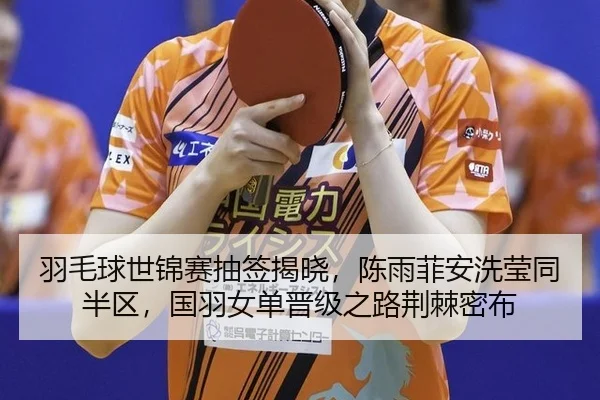 yu-mao-qiu-shi-jin-sai-chou-qian-jie-xiao-chen-yu-fei-an-xi-ying-tong-ban-qu-guo-yu-nv-dan-jin-ji-zhi-lu-jing-ji-mi-bu-3-953.jpg