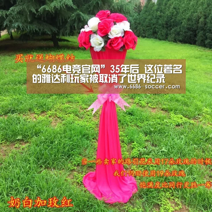 6686篮球竞猜